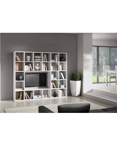 Parete bianco frassinato L. 261 P. 30 H. 218 - T571 - 1 - Home page