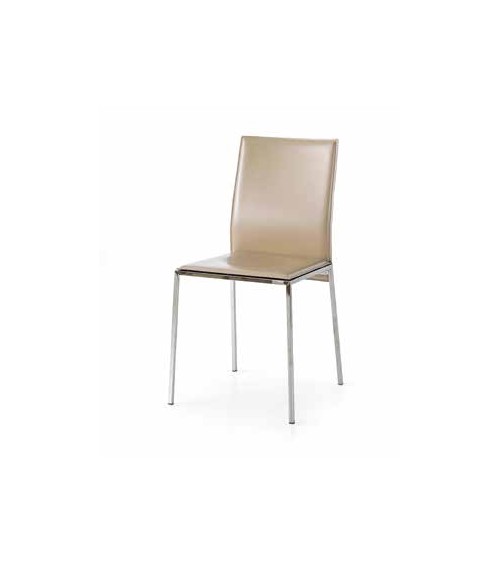 Sedia tortora - T1681 - 1 - Moderne