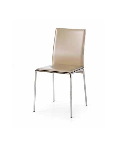 Sedia tortora - T1681 - 1 - Moderne